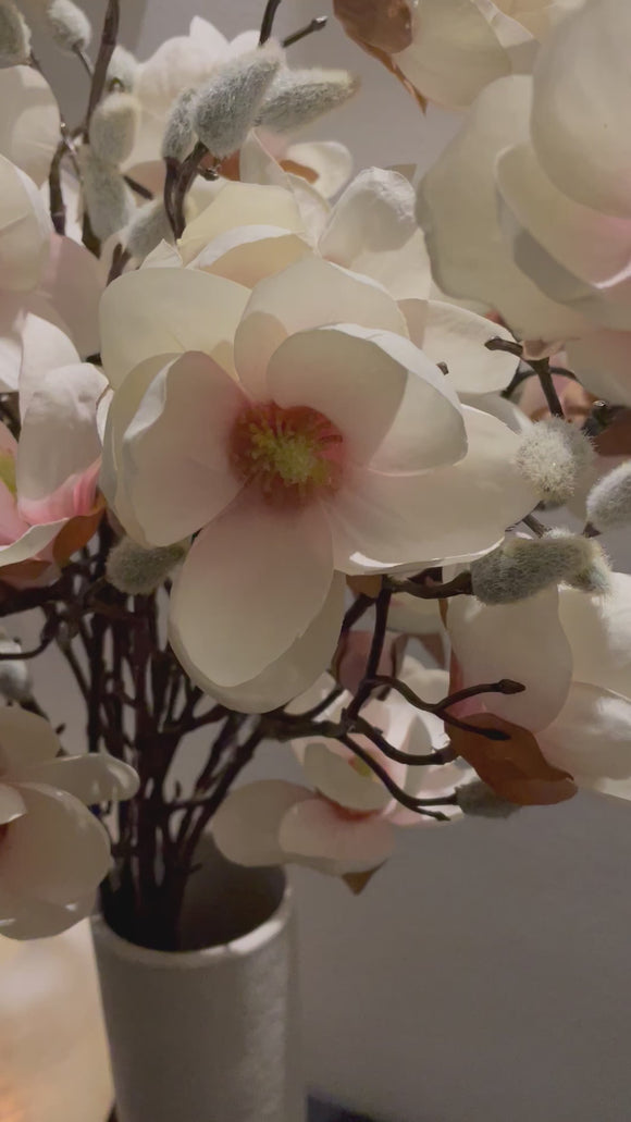 Magnolia takken
